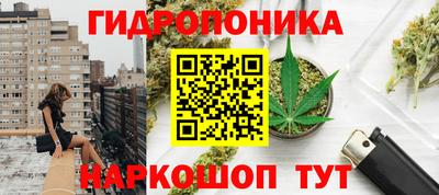 ГАЛЛЮЦИНОГЕННЫЕ ГРИБЫ Кулебаки